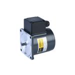 10w 60mm Electric Ac Motors Reversible Induction Motor Speed Control