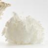 Buy cheap Colorful Polyester Staple Fiber AA Grade Crimp 100% Polyester 1.2-15dtex from wholesalers