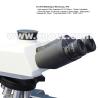 Buy cheap APO DIC Metallurgical Optical Microscope Halogen Lamp Illumination from wholesalers