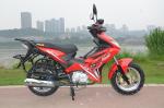 Powerful Engine 4 Stroke 125cc Street Legal Motorcycle 501W - 1000W