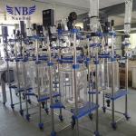 Double High Temperature Glass Reactor