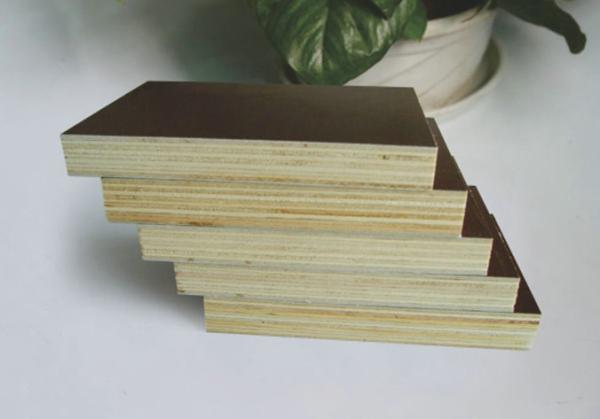 Buy cheap Film faced plywood specifications 1220x2440mm, 1250x2500mm, Thickness 9mm, 12mm, 15mm,18mm,21mm etc from wholesalers
