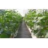 Buy cheap Black Nonwoven Strawberry 60Gsm Weed Stop Fabric from wholesalers