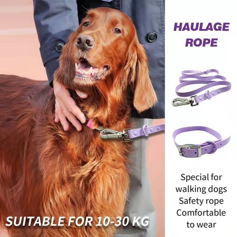 Amazon hot sale anti-fouling and waterproof PVC dog collar and leash set for pets walking outdoors