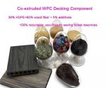 Waterproof Garden PVC Wall WPC Panel For Outdoor Anti Slip Decoration Eco