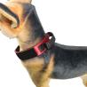 Buy cheap 70 Lb Anti Bark Dog Collar For Airtag 5-10kg 40cm 70cm 58cm 60cm 65cm With D-Shaped Ring from wholesalers