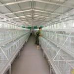 U Shape Q235 Steel Wire Poultry Cages , 125 * 100 * 63mm Chick Rearing Cage