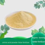 Completely Water Soluble Amino Acid Foliar Fertilizer Top Dressing 20kg/bag