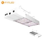 T828 800W 0-10V Dimmable LED Grow Light 5 Years Warranty For Agrotech