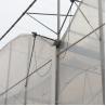 Buy cheap Optimal Irrigation Agricultural Multi Span Plastic Greenhouse for Single Layer Crops from wholesalers