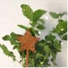 Buy cheap Star Shaped Weathering Steel Metal Garden Ornaments Christmas Decoration from wholesalers