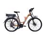 Buy cheap 24 Speed Luxury Electric Bicycle 250W 26 Inch E Bike With 48V Lithium Battery from wholesalers
