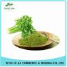 Buy cheap Natural Celery / Apium graveolens Juice Powder from wholesalers