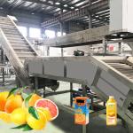 Food Industry NFC Citrus Processing Line 220v Water Saving Long Service Life