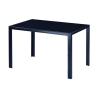 Buy cheap 220Ibs capacity Simple Dining Room Table Black Tempered Glass Dining Table H4.13In from wholesalers