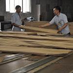 Door Skin American Natural Cherry Wood Veneer Quarter Cut Straight Grain