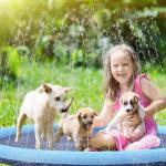 Outdoor Foldable Kids Swimming Pool Large Puppy Washing Pet Water Toy PVC