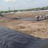 Buy cheap 0.2mm-3mm Thickness Anti-uv HDPE Pond Liner for Customizable Pond Protection from wholesalers