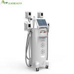 cold body criolipo fat freeze equipment fat freezing cryolipo slimming machine