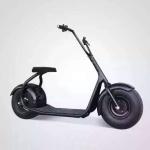 2016 The Most Fashionable Citycoco 2 Wheel Electric Scooter,Adult Electric