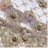 Buy cheap Beaded Wedding Dress Lace Fabric 135cm Width Handmade Embroidery 1 Yard from wholesalers