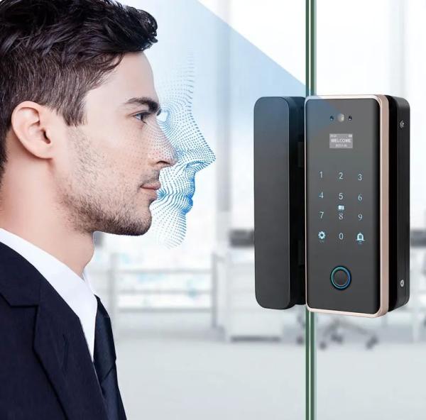 Office Tuya App Door Lock Wireless Biometric High Security Password Glass Door