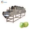 Buy cheap 220V 380V Air Drying Machine For Fruit And Vegetable Food Potato Chips Dehydration from wholesalers