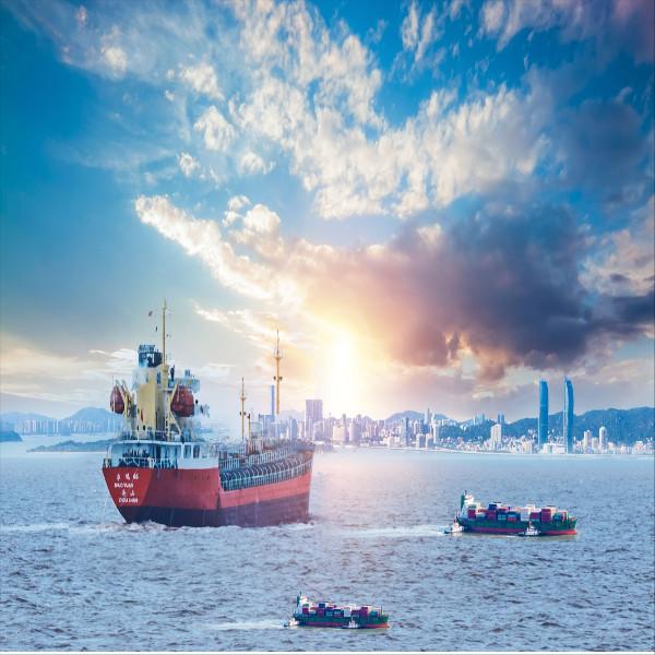 Buy cheap International Sea Freight Forwarding DDP From China To New Zealand from wholesalers