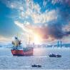 Buy cheap International Sea Freight Forwarding DDP From China To New Zealand from wholesalers