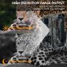 Buy cheap KW591 outdoor trail hunting camera no-glow Two sensor 1080P FHD Hunting Camera night viison from wholesalers