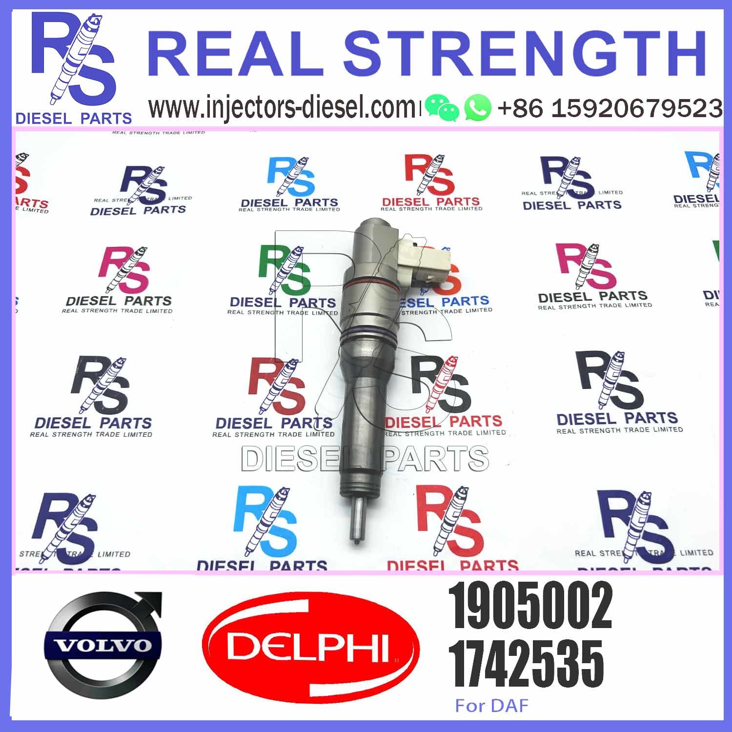 Fuel Injector Assembly BEBJ1A05002 BEBJ1A00202 BEBJ1A05001 1905001 1846419 1905002