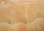 Black Marble Effect Decorative PVC Film Environmentally Friendly