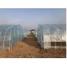 Buy cheap 150/200micro Film High Tunnel Agricultural Greenhouse for Tomato Hydroponic Growing from wholesalers