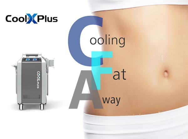 Quality Newest Fat Freezing Cryolipolysis Chin Treatment Double Cryo Machine 4 Handles Channel Cool Body Fat Freezing slimming for sale