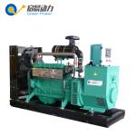 20KVA Natural Gas Generator LPG Generator Biogas Generator