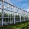 Buy cheap Agricultural Transparent Venlo Type Greenhouse For Fruits Flowers from wholesalers