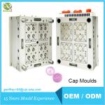 Buy cheap CAP MOULDS 002 from wholesalers