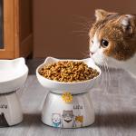 Dishwasher Safe Ceramic Pet Water Bowl , Easy To Clean Microwave Safe Travel Dog