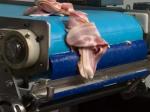 Dewatering Polyester Mesh Conveyor Belt Woven For Food Industry Use