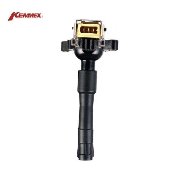 12131703227 Ignition Coil for BMW 12131748018 12137599219 0221504004 0221504029