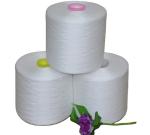40/2 40/3, 50/2, 50/3 100% Polyester Ring Spun Yarn for Cloting Sewing