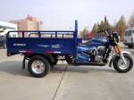 Single Cylinder 4 Stroke 250cc 3 Wheel Cargo Motorcycle