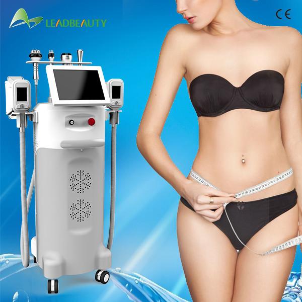 Buy cheap Cryolipolysis Slim cryotherapy slimming beauty machine Freeze Fat dissolving machine from wholesalers
