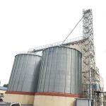 Optimum Agricultural Storage Made Easy with STR STGF80 Grain Silo 28000 KG