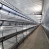 Buy cheap 3-6mm Wire Battery Broiler Equipment SGS H Type Poultry Farm Cage from wholesalers