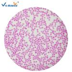 Laboratory Educational 15pcs Microscope Glass Slides