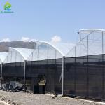 Steel Tructure Agricultural Poly Tunnel Black Shading Multi-span Greenhouse with
