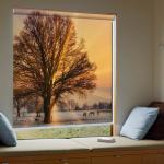 Dustproof Custom Printed Roller Shades , Elegant Internal Blockout Blinds