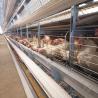 Buy cheap Layer Chicken Farming Automated H Frame Type Battery 3 Tiers 4 Tiers Laying Hen Cage from wholesalers