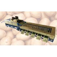 Buy cheap Integrated Type Automatic Potato Cleaning and Grader Line product